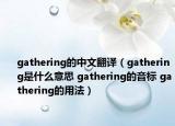 gathering的中文翻译（gathering是什么意思 gathering的音标 gathering的用法）