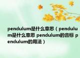 pendulum是什么意思（pendulum是什么意思 pendulum的音标 pendulum的用法）