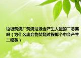 垃圾焚烧厂焚烧垃圾会产生大量的二恶英吗（为什么废弃物焚烧过程那个中会产生二噁英）