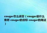 cougar怎么读音（cougar是什么意思 cougar的音标 cougar的用法）