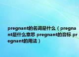 pregnant的名词是什么（pregnant是什么意思 pregnant的音标 pregnant的用法）