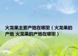 火龙果主要产地在哪里（火龙果的产地 火龙果的产地在哪里）