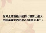 世界上体重最大的狗（世界上最大的狗英国大乔治高2.2米重111斤）