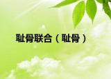 耻骨联合（耻骨）