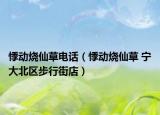 悸动烧仙草电话（悸动烧仙草 宁大北区步行街店）