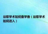 谷歌学术如何查学者（谷歌学术如何进入）