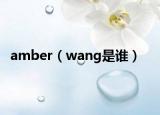 amber（wang是谁）