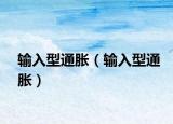 输入型通胀（输入型通胀）