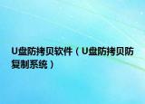 U盘防拷贝软件（U盘防拷贝防复制系统）