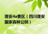蓬安4a景区（四川蓬安国家森林公园）