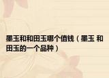 墨玉和和田玉哪个值钱（墨玉 和田玉的一个品种）