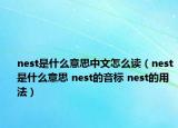 nest是什么意思中文怎么读（nest是什么意思 nest的音标 nest的用法）