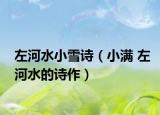 左河水小雪诗（小满 左河水的诗作）