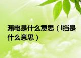 漏电是什么意思（l挡是什么意思）