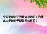 今日更新树干为什么是圆的（为什么大多数树干都是圆柱形的）
