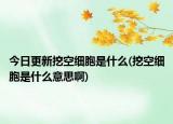 今日更新挖空细胞是什么(挖空细胞是什么意思啊)