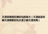 天津滨海景区哪好玩的地方（天津旅游攻略天津哪里好玩天津之眼天津滨海）