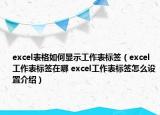 excel表格如何显示工作表标签（excel工作表标签在哪 excel工作表标签怎么设置介绍）