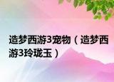 造梦西游3宠物（造梦西游3玲珑玉）