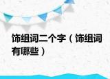饰组词二个字（饰组词有哪些）