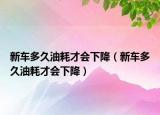 新车多久油耗才会下降（新车多久油耗才会下降）