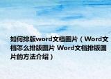 如何排版word文档图片（Word文档怎么排版图片 Word文档排版图片的方法介绍）