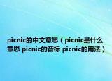 picnic的中文意思（picnic是什么意思 picnic的音标 picnic的用法）