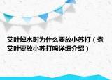 艾叶焯水时为什么要放小苏打（煮艾叶要放小苏打吗详细介绍）