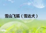 雪山飞狐（雪达犬）