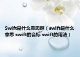 Swift是什么意思啊（swift是什么意思 swift的音标 swift的用法）