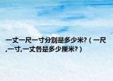 一丈一尺一寸分别是多少米?（一尺,一寸,一丈各是多少厘米?）