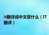 it翻译成中文是什么（IT翻译）
