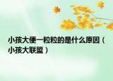 小孩大便一粒粒的是什么原因（小孩大联盟）