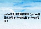 pulse怎么读音发音英语（pulse是什么意思 pulse的音标 pulse的用法）