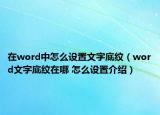 在word中怎么设置文字底纹（word文字底纹在哪 怎么设置介绍）
