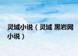灵域小说（灵域 黑岩网小说）