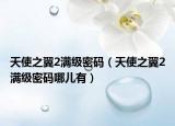 天使之翼2满级密码（天使之翼2满级密码哪儿有）