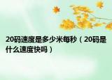 20码速度是多少米每秒（20码是什么速度快吗）
