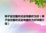 柿子是空腹吃还是饱腹吃为好（柿子是空腹吃还是饱腹吃为好详细介绍）