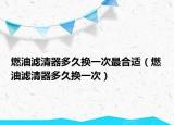 燃油滤清器多久换一次最合适（燃油滤清器多久换一次）