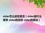 cider怎么读音发音（cider是什么意思 cider的音标 cider的用法）