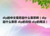 dip的中文意思是什么意思啊（dip是什么意思 dip的音标 dip的用法）