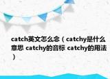 catch英文怎么念（catchy是什么意思 catchy的音标 catchy的用法）
