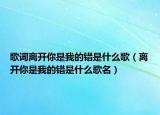歌词离开你是我的错是什么歌（离开你是我的错是什么歌名）