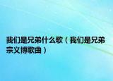 我们是兄弟什么歌（我们是兄弟 宗义博歌曲）