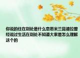 你说的住在别处是什么意思米兰昆德拉曾经说过生活在别处不知道大家是怎么理解这个的