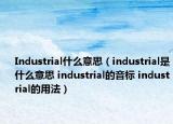 Industrial什么意思（industrial是什么意思 industrial的音标 industrial的用法）