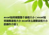 excel如何调整整个表格大小（excel如何调整表格大小 excel怎么调整表格大小的操作介绍）