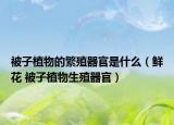 被子植物的繁殖器官是什么（鲜花 被子植物生殖器官）