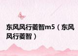 东风风行菱智m5（东风风行菱智）